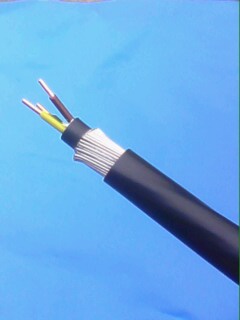 解析VV22与VV32电缆 钢带与钢丝铠装的结构差异与应用选择